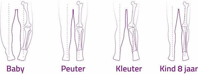 Ontwikkeling van kindervoeten Podotherapie Reggestreek Rijssen Ontwikkeling van kindervoeten Podotherapie Reggestreek Rijssen