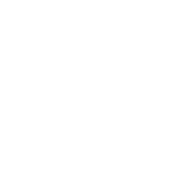 Logo EV Fysiotherapie en Fitness