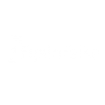 Logo Fysiofeike Wit