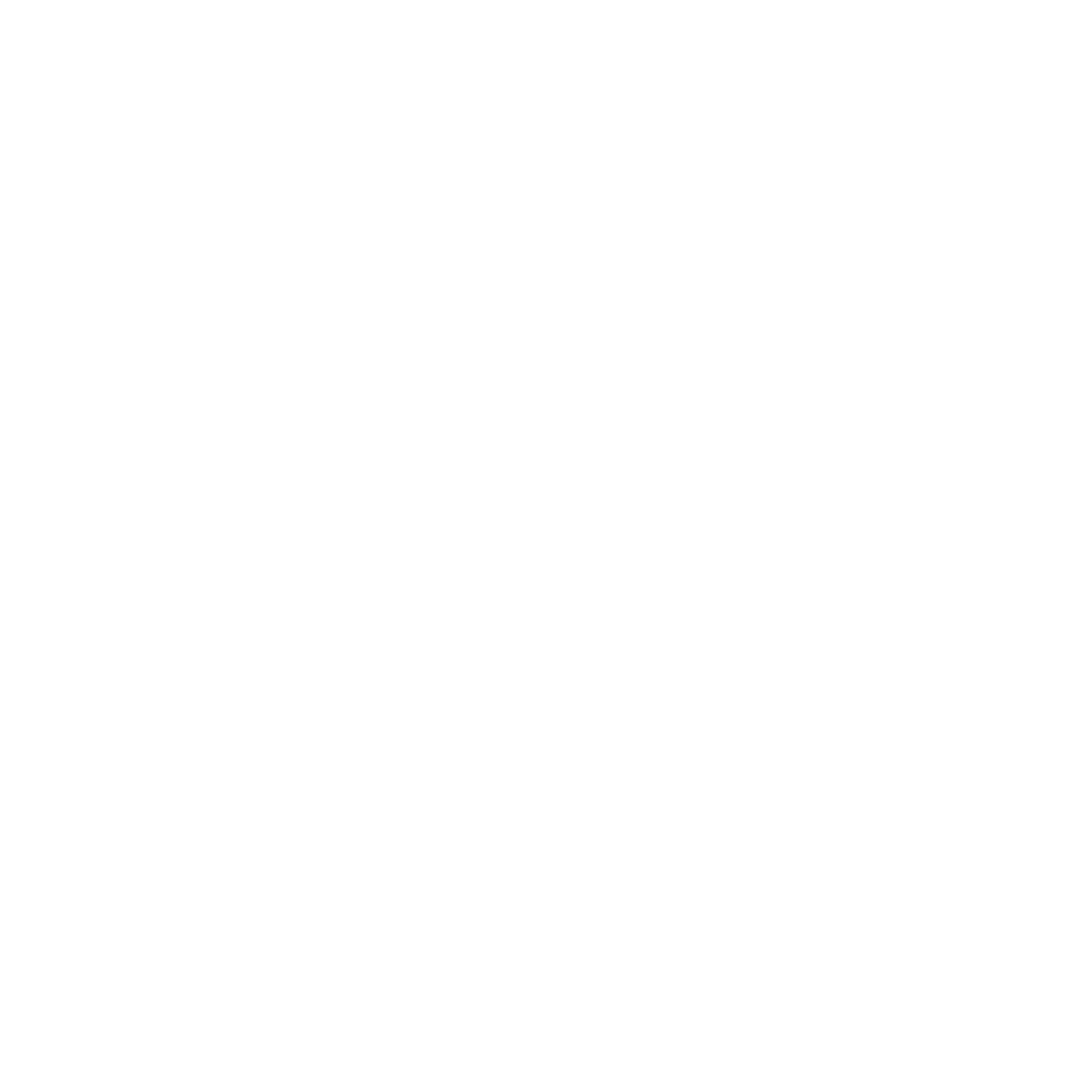 Logo Fysiofeike Wit